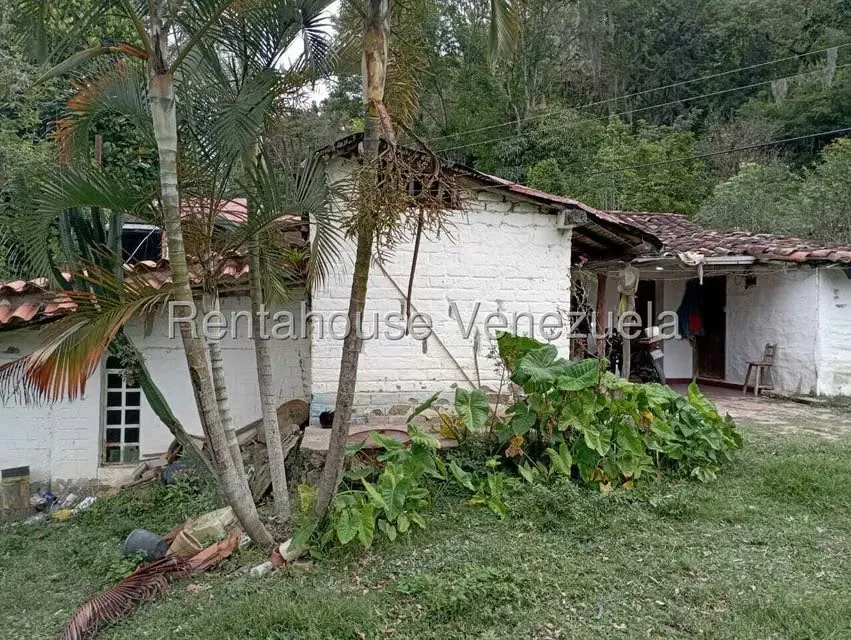 Terreno (Finca) en Venta en El Rincon, Merida - 28