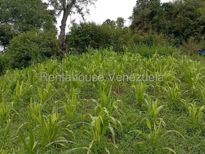 Terreno (Finca) en Venta en El Rincon, Merida - 29
