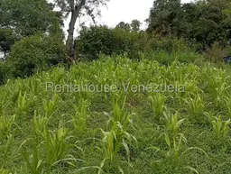 View 29