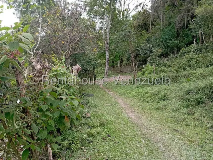 Terreno (Finca) en Venta en El Rincon, Merida - 30