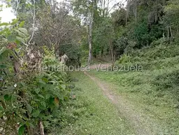 View 30