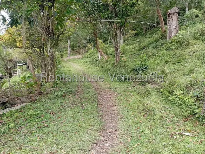 Terreno (Finca) en Venta en El Rincon, Merida - 3