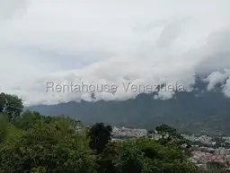 View 31
