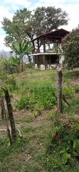 View 39