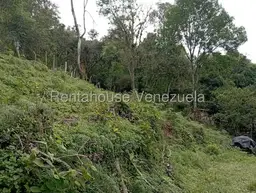 View 42