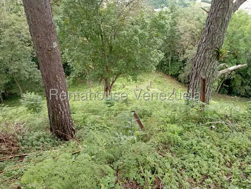Terreno (Finca) en Venta en El Rincon, Merida - 43
