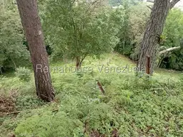 View 43