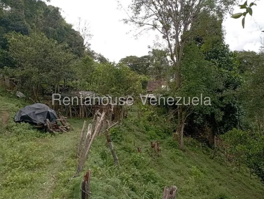 Terreno (Finca) en Venta en El Rincon, Merida - 45