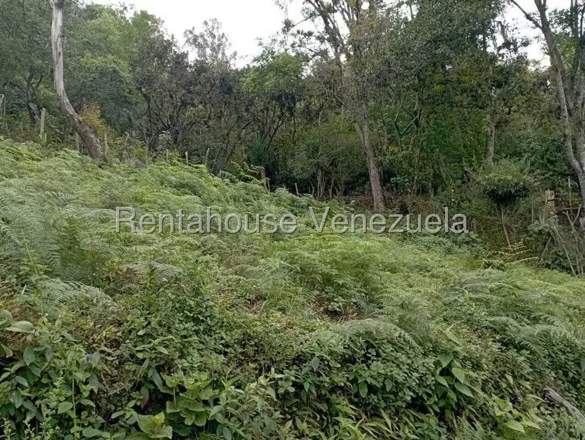 Terreno (Finca) en Venta en El Rincon, Merida - 46