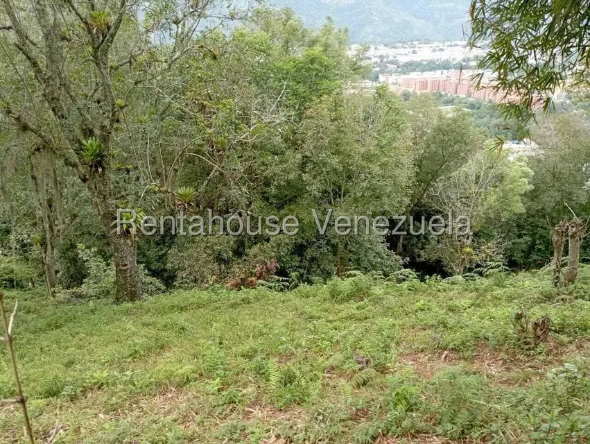 Terreno (Finca) en Venta en El Rincon, Merida - 47