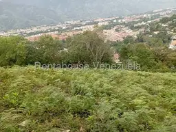 View 48