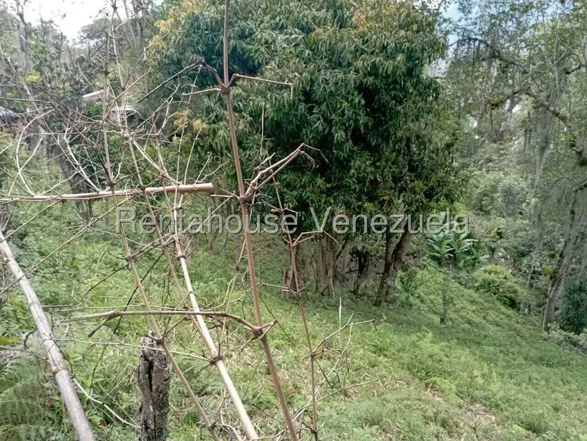 Terreno (Finca) en Venta en El Rincon, Merida - 49