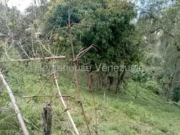 View 49