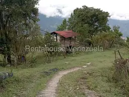 View 50