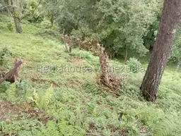 View 52