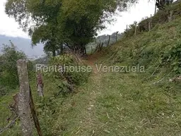 View 53