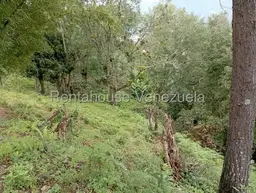 View 54