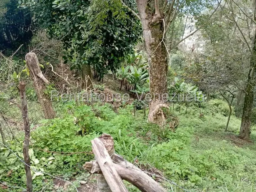 Terreno (Finca) en Venta en El Rincon, Merida - 56