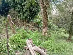 View 56