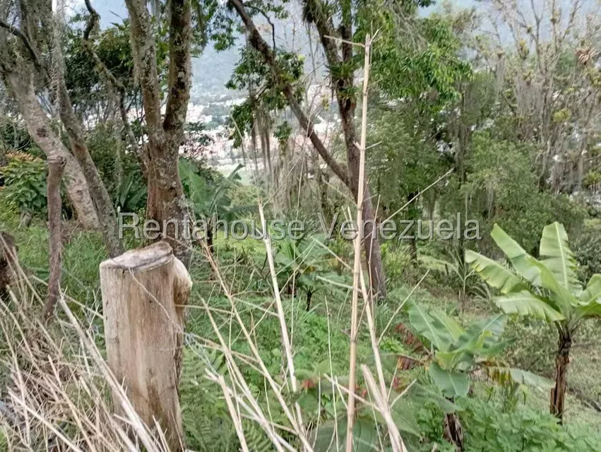Terreno (Finca) en Venta en El Rincon, Merida - 59