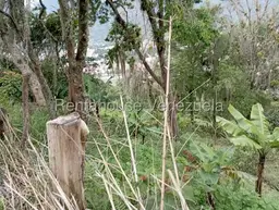 View 59