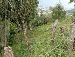 View 60