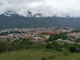 View 6
