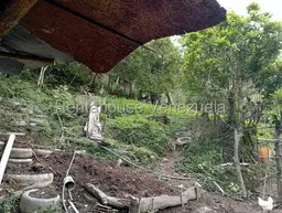 View 61