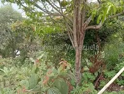 View 62