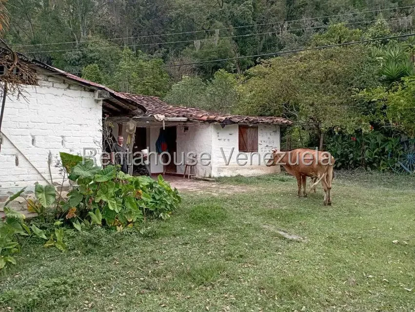 Terreno (Finca) en Venta en El Rincon, Merida - 64