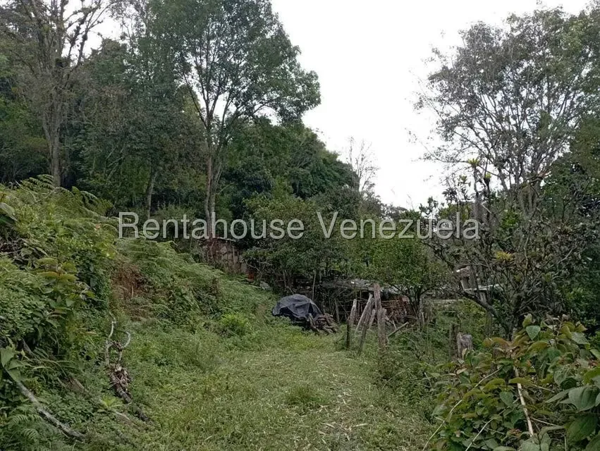 Terreno (Finca) en Venta en El Rincon, Merida - 65