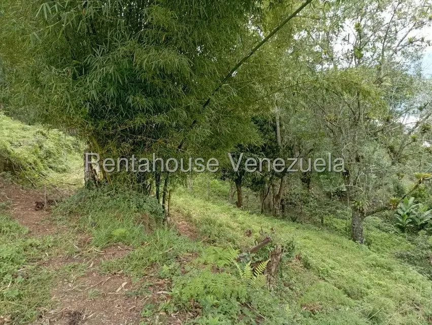 Terreno (Finca) en Venta en El Rincon, Merida - 66