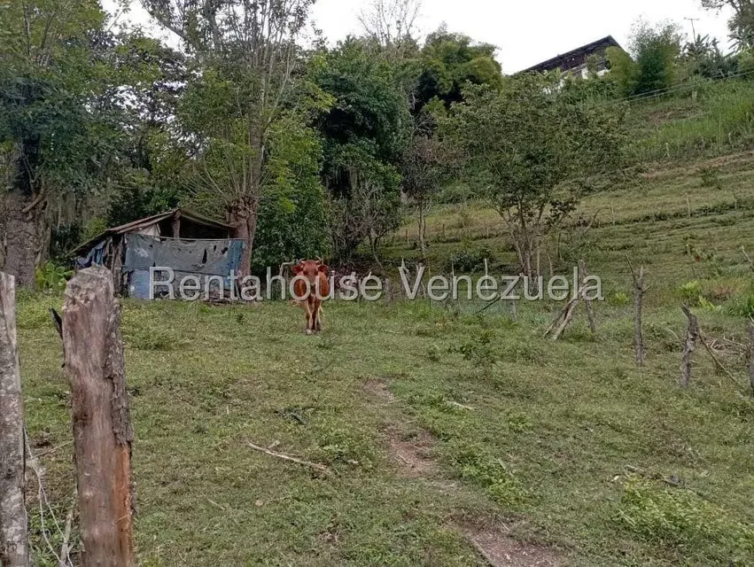 Terreno (Finca) en Venta en El Rincon, Merida - 67