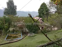 View 68