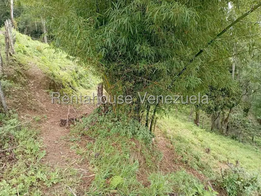 Terreno (Finca) en Venta en El Rincon, Merida - 69
