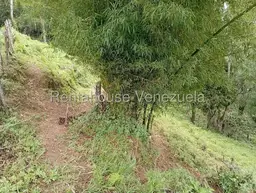 View 69