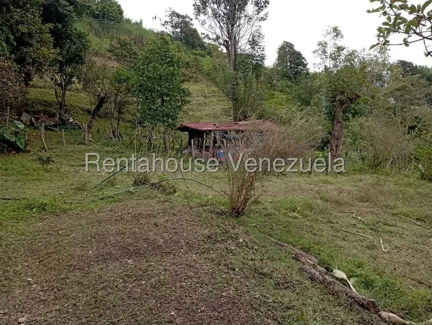 Terreno (Finca) en Venta en El Rincon, Merida - 7