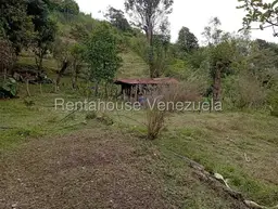 View 7