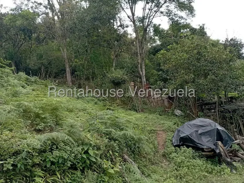 Terreno (Finca) en Venta en El Rincon, Merida - 71