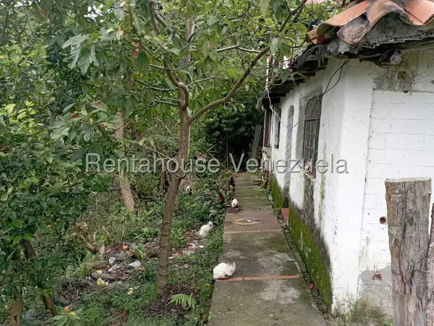 Terreno (Finca) en Venta en El Rincon, Merida - 73