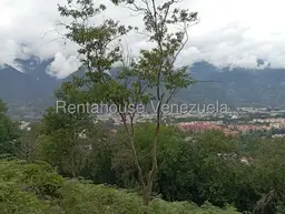 View 74