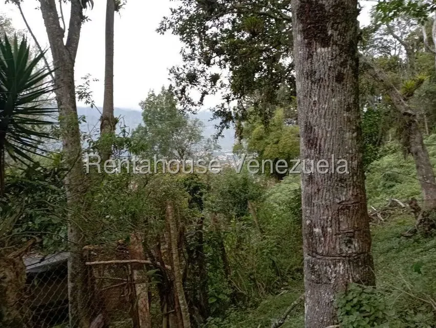 Terreno (Finca) en Venta en El Rincon, Merida - 78