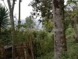 View 78