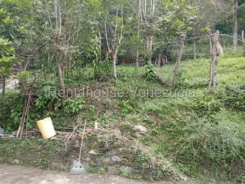 Terreno (Finca) en Venta en El Rincon, Merida - 79