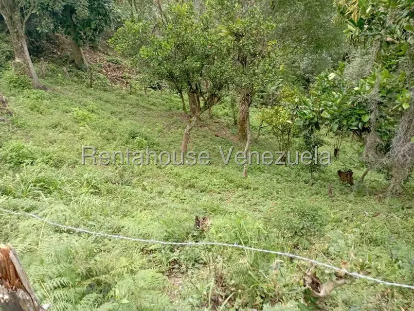Terreno (Finca) en Venta en El Rincon, Merida - 80