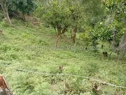 View 80