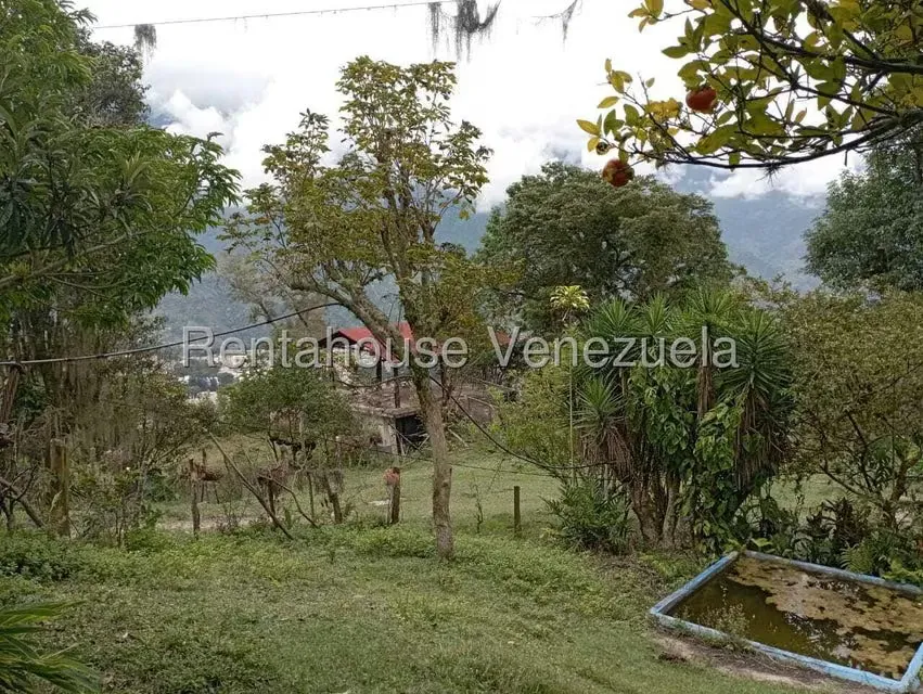 Terreno (Finca) en Venta en El Rincon, Merida - 8