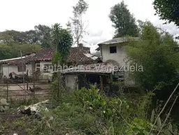 View 82