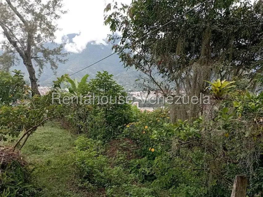 Terreno (Finca) en Venta en El Rincon, Merida - 85