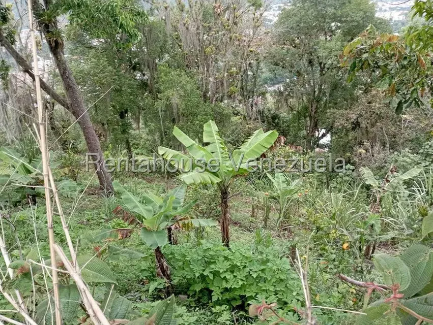 Terreno (Finca) en Venta en El Rincon, Merida - 88